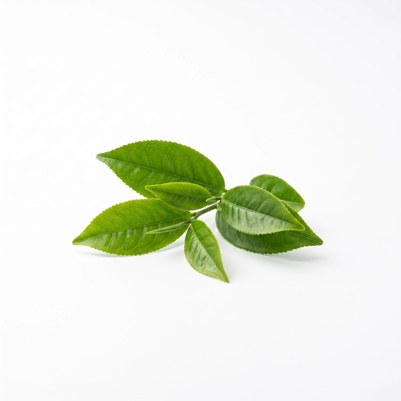 L-teanina